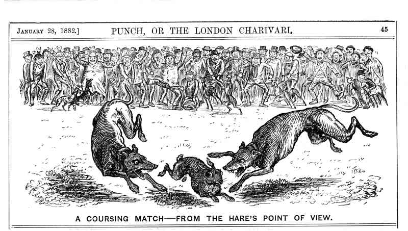 La caza de liebres fue una vez un deporte nacional en Gran Bretaña y aún era legal hasta 2004