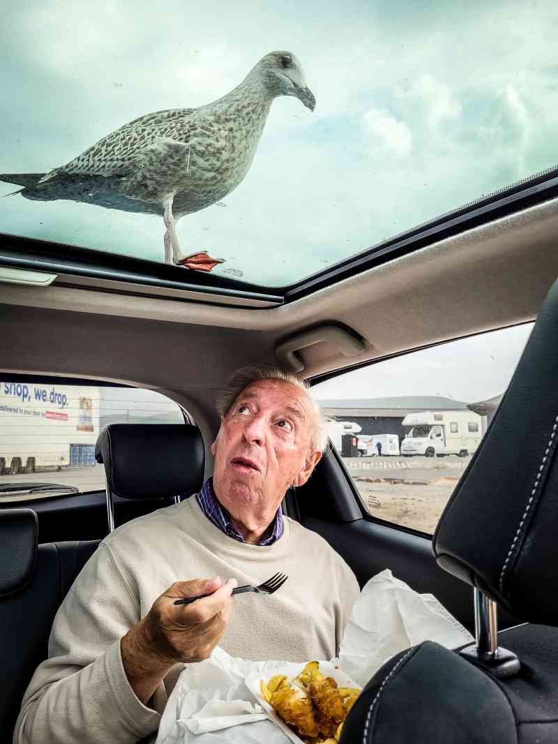 Mi papá y la gaviota glotona. Categoría: Retrato (incluyendo selfies). Ubicación: Girvan, Ayrshire