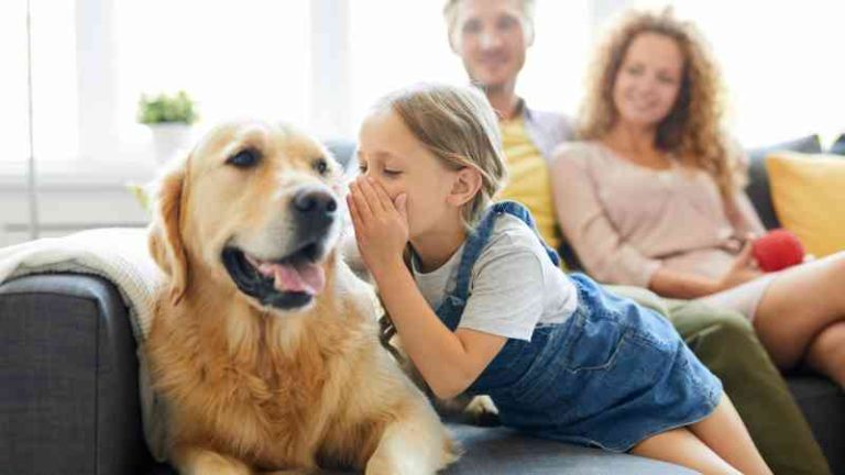 ¿Quién es un chico inteligente? La mayoría de los perros pueden relacionar palabras con objetos familiares.